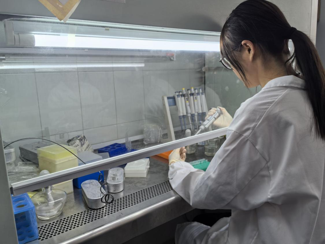 18bfb907190b4935bf3d04fa04fd7897.png 18bfb907190b4935bf3d04fa04fd7897.png