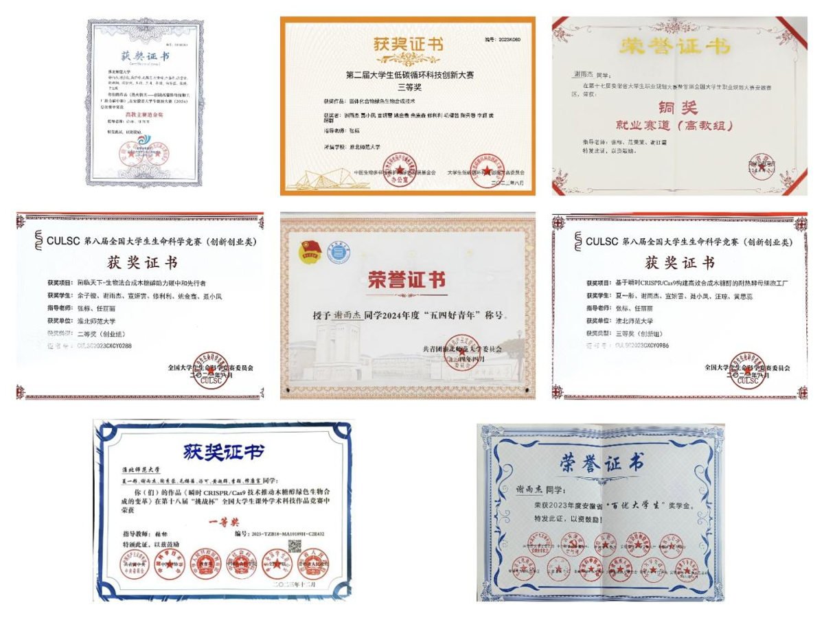 40867e7e410a40ea885a5aec153dd238.png 40867e7e410a40ea885a5aec153dd238.png