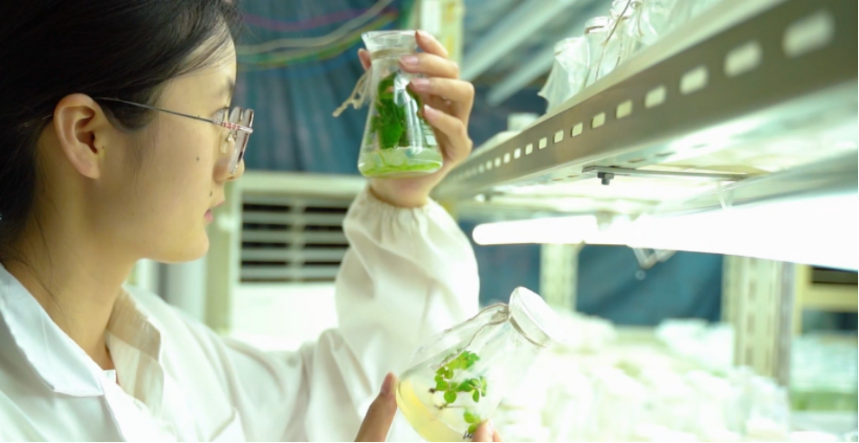 5e1de1e17dd1400fbc26aa9bcaa8a8ed.png 5e1de1e17dd1400fbc26aa9bcaa8a8ed.png