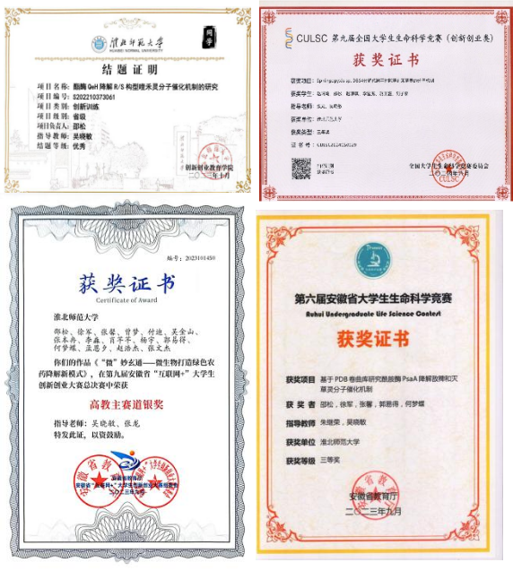 67b7f4f662c14a47a7eaead7d86077f3.png 67b7f4f662c14a47a7eaead7d86077f3.png