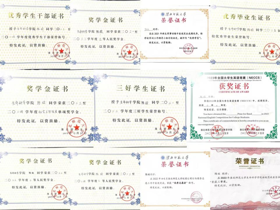 6d62b36104714d6bb788e332a9ac84ad.png 6d62b36104714d6bb788e332a9ac84ad.png