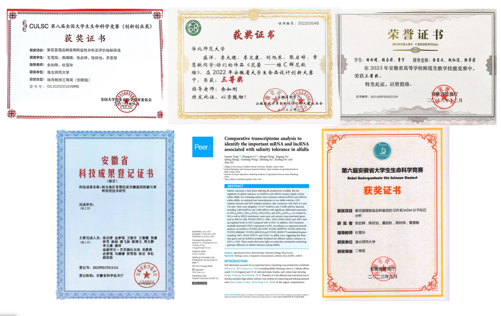 e6bab2341bcc4d5581dfa7c48d03a9da.png e6bab2341bcc4d5581dfa7c48d03a9da.png