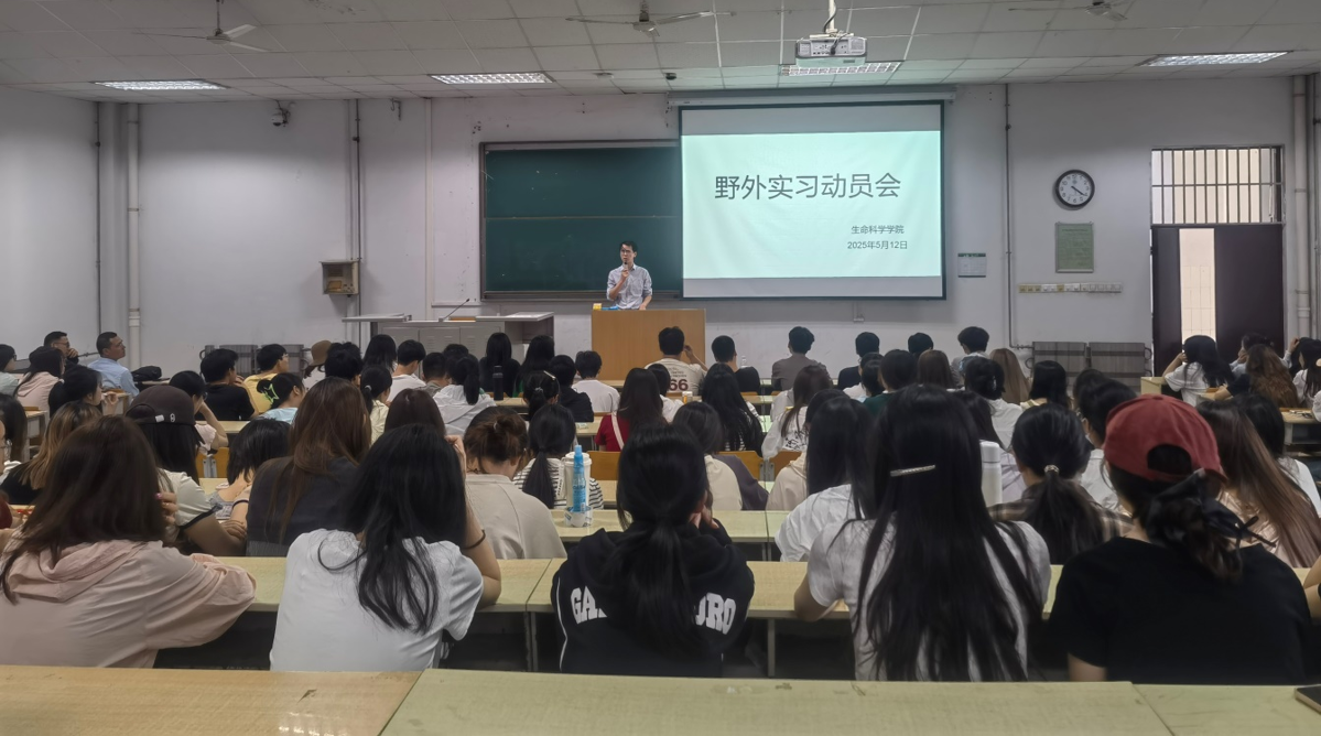 91456e26784f4439921debf399e89b85.png 91456e26784f4439921debf399e89b85.png